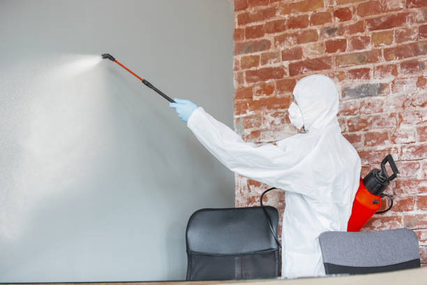 Best Post-Remediation Verification Testing  in Redan, GA