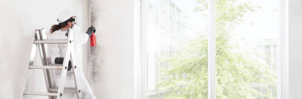 Best Indoor Air Quality Assessment  in Redan, GA