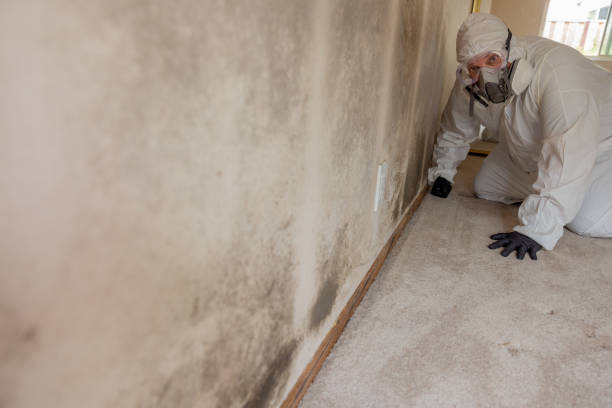 Best Air Quality Testing for Mold Spores  in Redan, GA